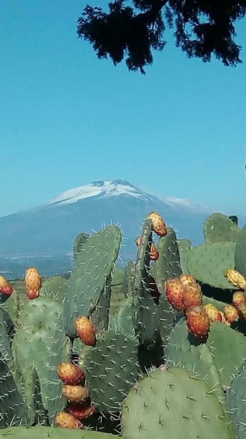 Villa Fraele Acireale Bagian luar foto